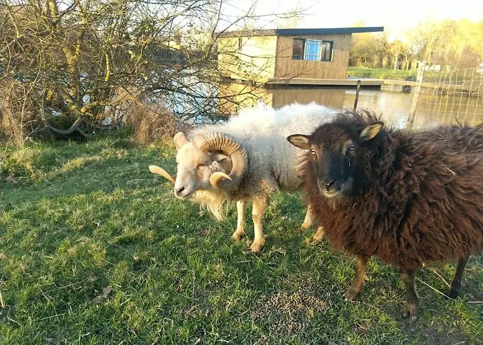 Tom Sawyer Flottante Chalet Bressuire